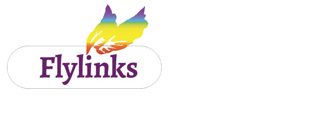 Flylinks Travel Accessories